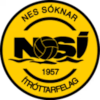 Drapeau de NSI RUNAVIK